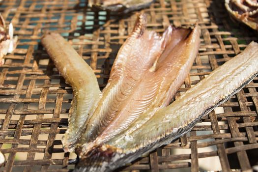 Sundried fish or Dried fish processed through sun drying or dehydration is highly concentrated fish compared to other preserved form of fish.
