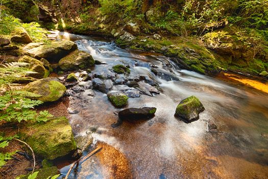 River runs over boulders in the primeval forest - HDR