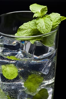 
Green Mojito cocktail with fresh mint leaves