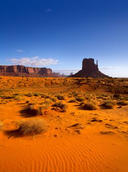 Monument West Mitten Butte in morning Utah National Park