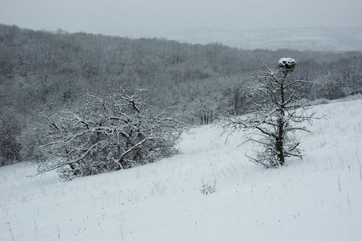 Winter in Crimea mountains,Karabi plateu,Ukraine