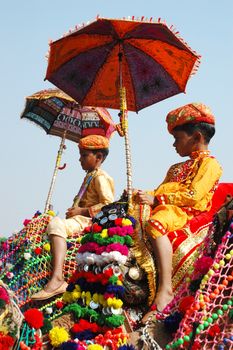 PUSHKAR, INDIA - NOVEMBER 22: Two young cameleers  are preparing to take part at decoration competition at camel mela in Pushkar on November 22,2012 in Pushkar, Rajasthan, India