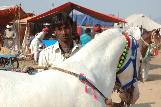 PUSHKAR, INDIA - NOVEMBER 21:Young indian gypsy nomad with white horse  preparing to horse dance performance at Pushkar camel fair on November 22,2012 in Pushkar, Rajasthan, India