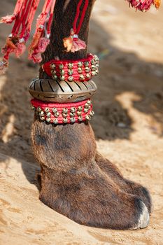 Beautifully decorated camel foot at the Pushkar Fair in India.