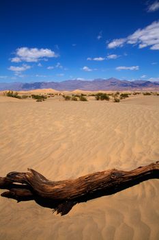 Mesquite Dunes desert in Death Valley National Park California