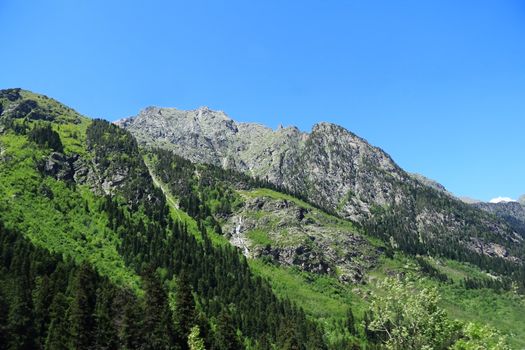 Summer scenery of Caucasus green mountains