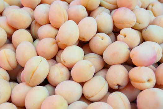 Image of the background yellow ripe apricots