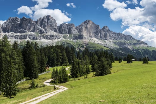 Catinaccio and the meadows of Colbleggio, Karersee - Dolomites