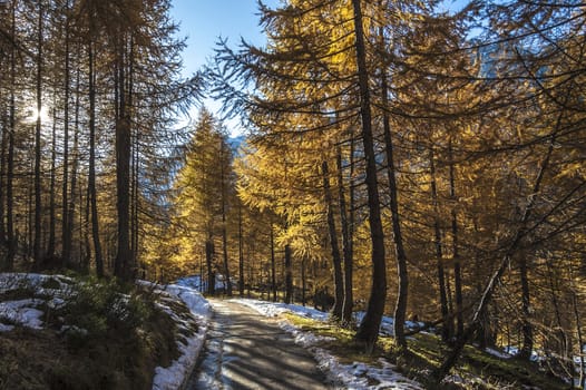 Mountain path in autumn season, Alpe Devero - Piedmont, Italy