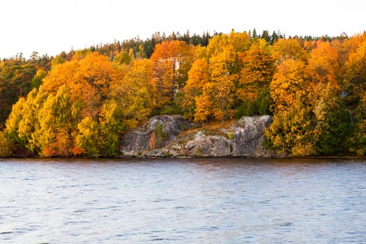 Autumn color in trees near lake