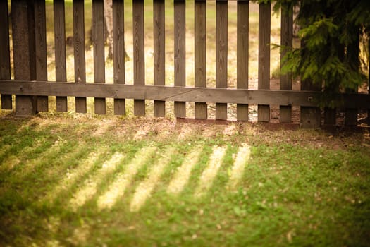 Sun shining through wooden fence