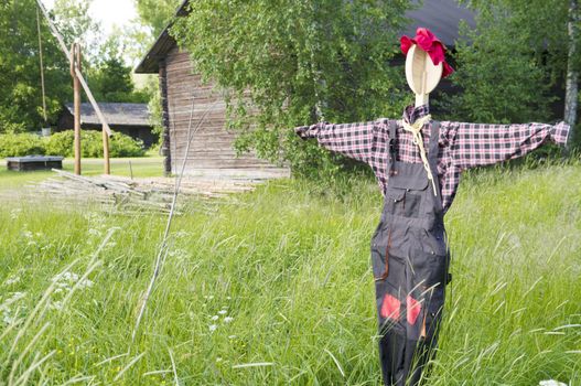 Scarecrow.  Taken in Elimaki village country museum in Finland on June 2013