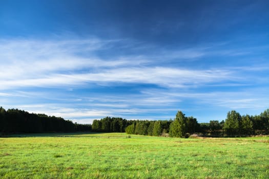 tranquil landscape photo of meadow at sunrise