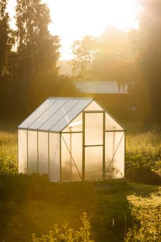 Small greenhouse in backyard in a golden light of dawn