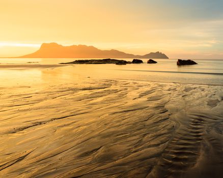 Golden light at beach in borneo bako national park malaysia