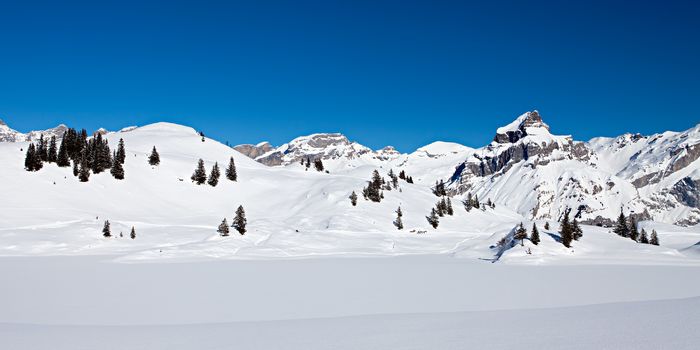 Panoramic photo of snow covered mountains on a bight day with deep blue sky in the Swiss Alps.