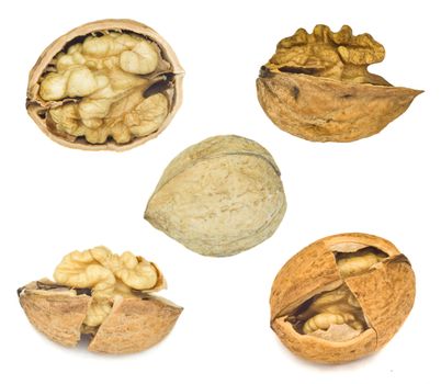 collection of walnuts over white background