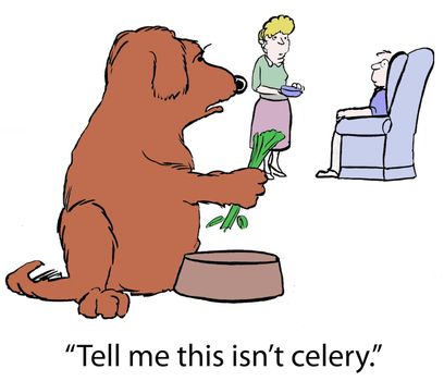 "Tell me this isn't celery."
