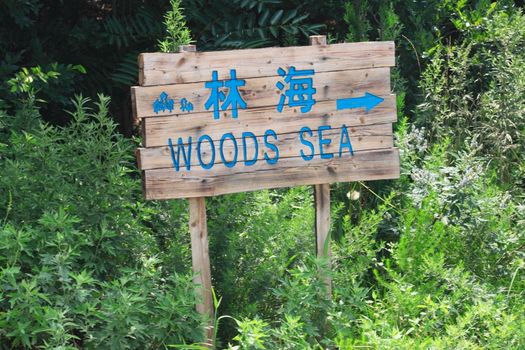 wood sea sign