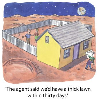 "The agent said we'd have a thick lawn within thirty days."