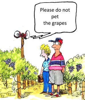'Please do not pet the grapes.'