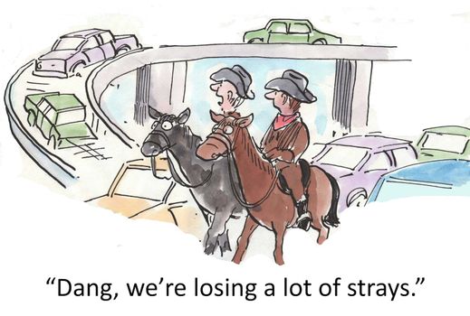 "Dang, we're losing a lot of strays."