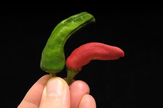 Some Very Hot Chili Peppers Ready to Cook