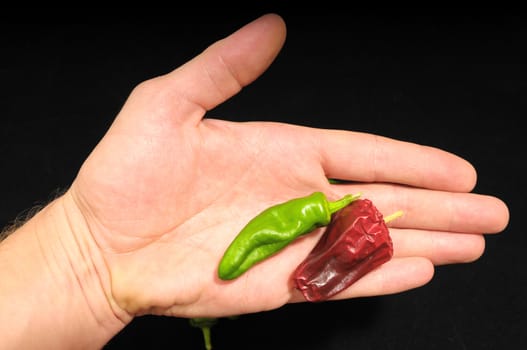 Some Very Hot Chili Peppers Ready to Cook