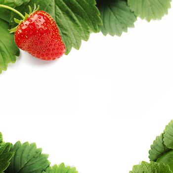 Strawberry frame with white copy space