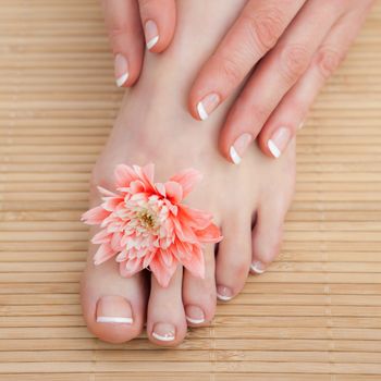 Closeup of french nail treatment at spa center