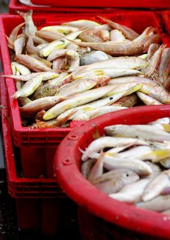 Sea fish in red basket waiting for weight at Siracha, Thailand