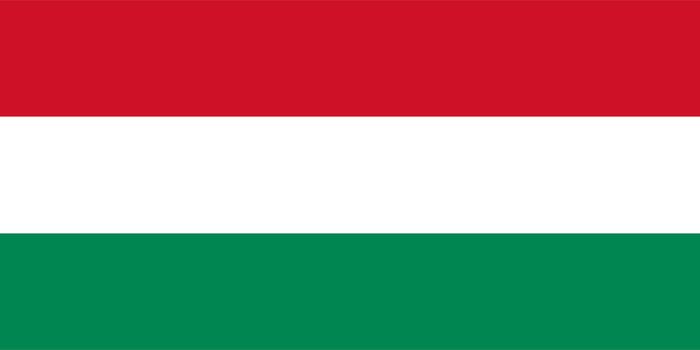 Hungarian flag of Hungary - Proportions: 2:1 - Colours: Red, White, Green