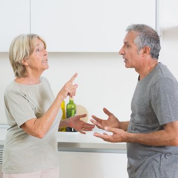 Wife arguing with her husband in the kitchen