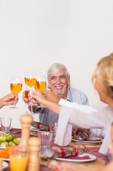 Family toasting each other at christmas at the dinner table