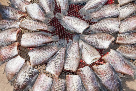 Dry Gourami fish, in a circle on bamboo plate