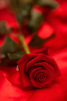 Red rose with stalk and leaves lying on red silk