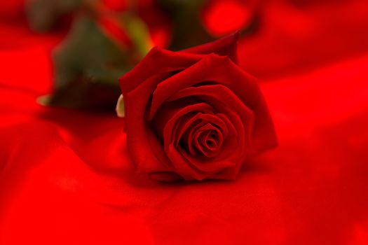 Red rose lying on red silk surface