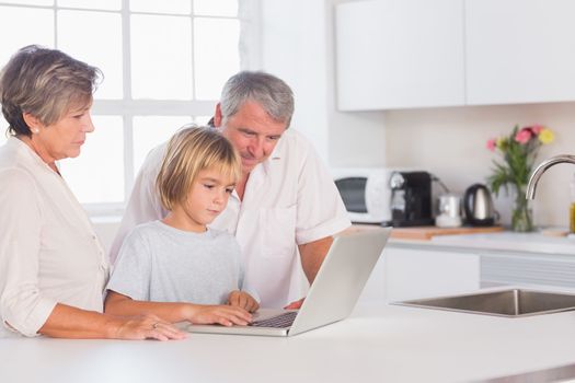 Child and grandparents looking at laptop in kitchen