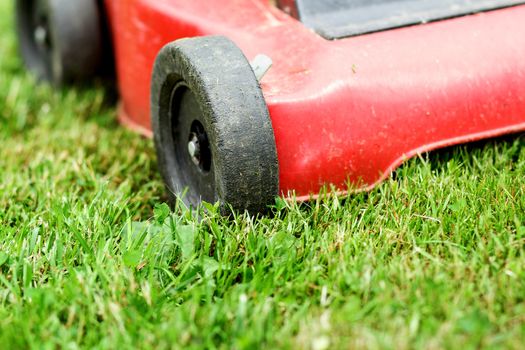 Detail of lawnmower on green grass in sunny day