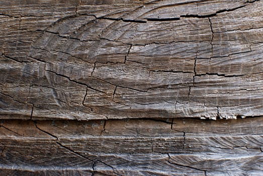 Rough wood board abstract background texture