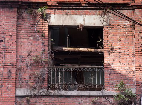 Abdanonded house with window and tree inside