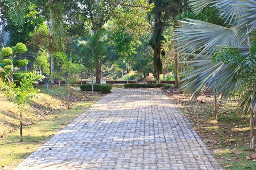 Landscaping in the garden. The path in the garden.