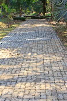 landscaping in the garden. The path in the garden.