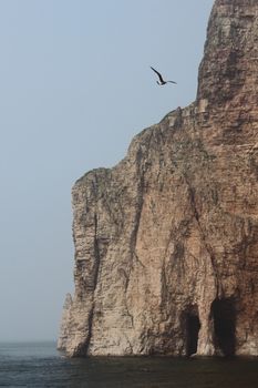 Island with flying seagull, shot in Shandong province , China.