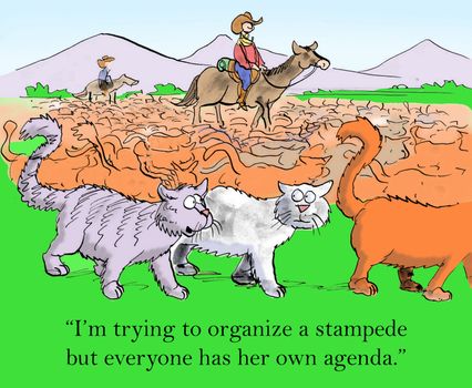 "I'm trying to organize a stampede but everyone has her own agenda."