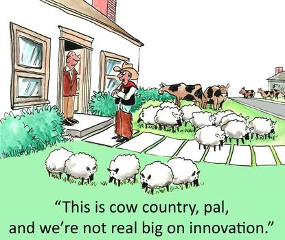 "This is cow country, pal, and we're not real big on innovation."