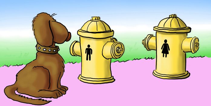 Dog must choose a male or female hydrant.