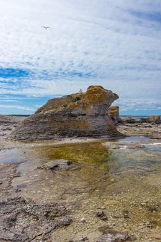 Limestone cliff (rauk) on the East coast of Sweden. Fårö island, Gotland.