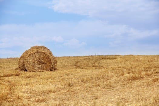 Haystacks in wheat field after harvest under blue cloudy sky