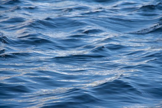 Ripple on the surface of the water close-up